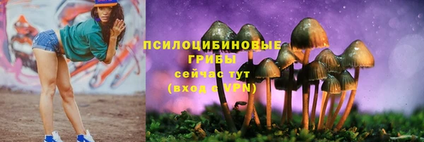 СК Липки