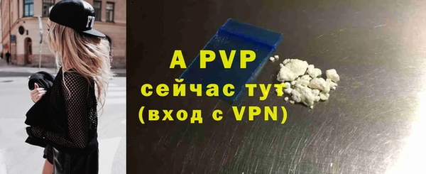 гидра Новодвинск